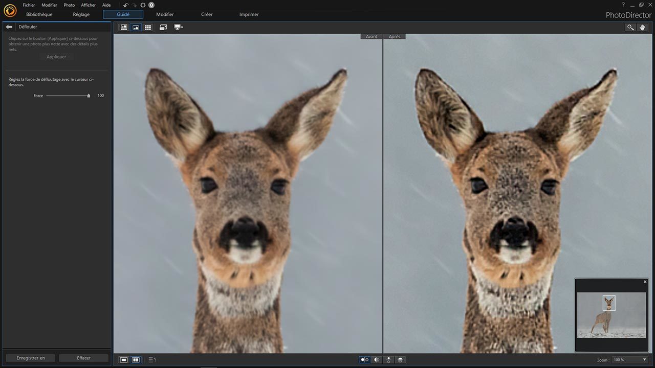 Photodirector Photodirector